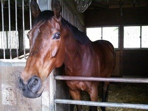 よーいドン　関西テレビ　となりの～