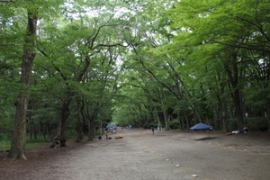 下鴨神社　森の手づくり市終了